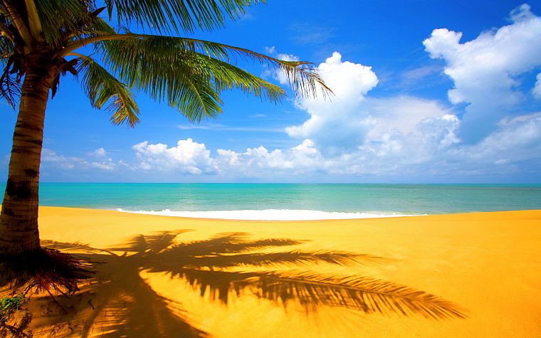 clouds, sand, palm trees, beaches - desktop wallpaper