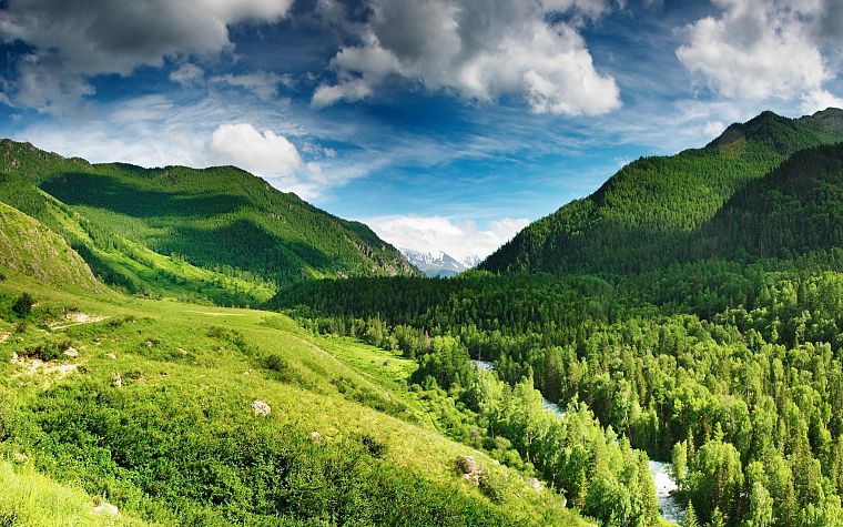 landscapes, nature, trees, forests, hills, valleys - desktop wallpaper