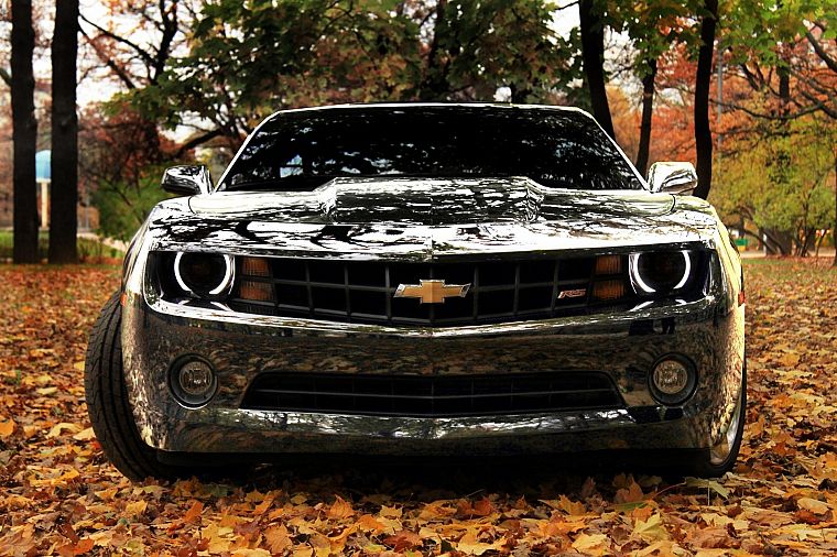 nature, trees, autumn, cars, leaves, silver, vehicles, Chevrolet Camaro, reflections, front view - desktop wallpaper