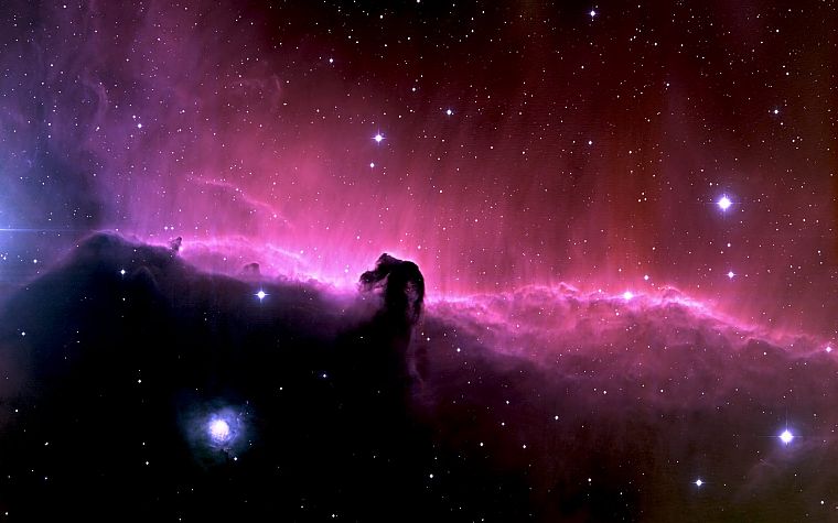 outer space, galaxies, nebulae, Horsehead Nebula - desktop wallpaper
