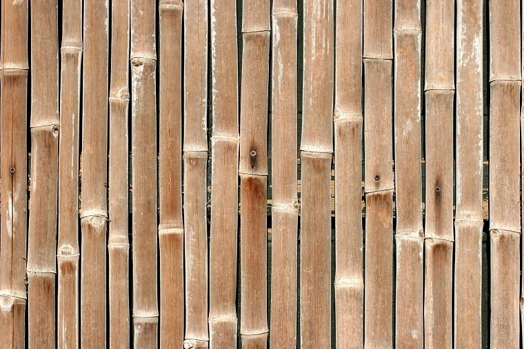 nature, wood, bamboo, textures - desktop wallpaper