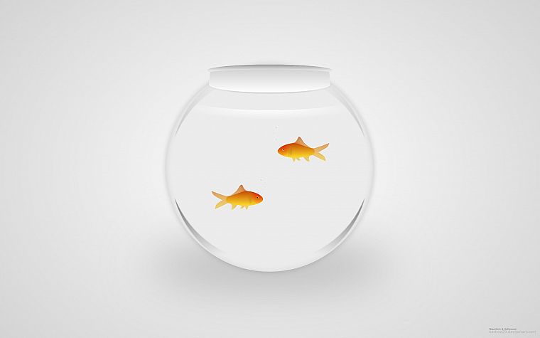 fish - desktop wallpaper