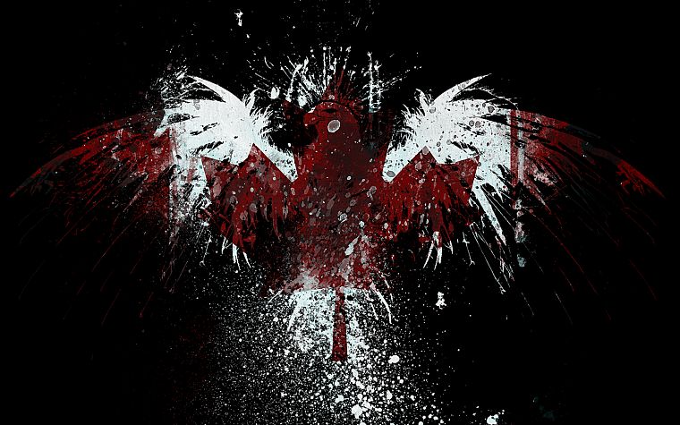 eagles, Canada, flags - desktop wallpaper