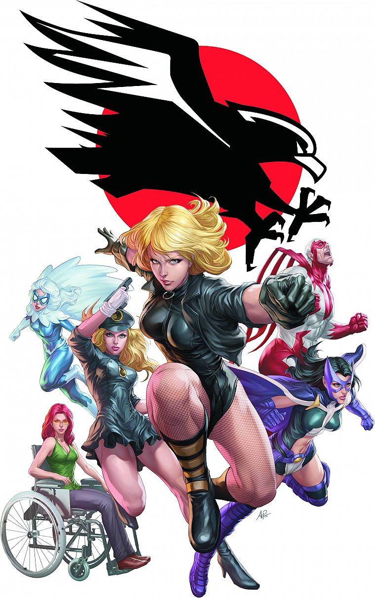 DC Comics, comics, superheroes, Black Canary, huntress, Birds Of Prey, logos, Black Hawk, Hawk and Dove - desktop wallpaper