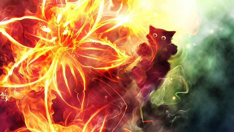 cats, fire, Apofiss, flame - desktop wallpaper