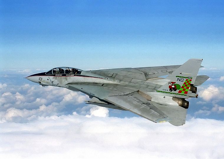 aircraft, military, navy, planes, F-14 Tomcat - desktop wallpaper