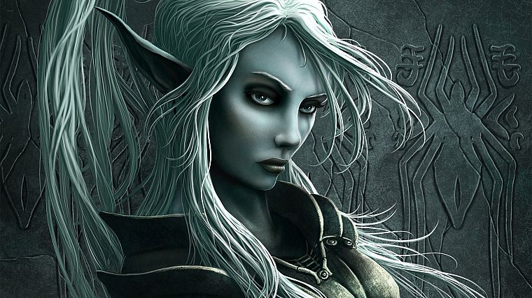 CGI, fantasy art, elves, drow - desktop wallpaper