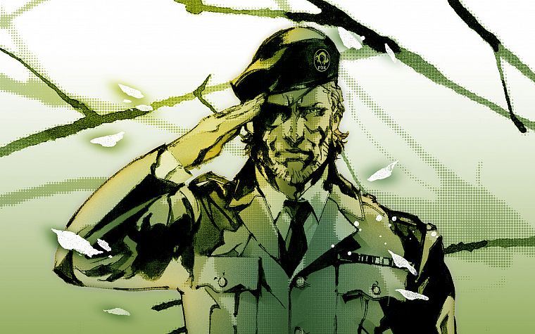 video games, Metal Gear Solid, Metal Gear Solid Rising - desktop wallpaper