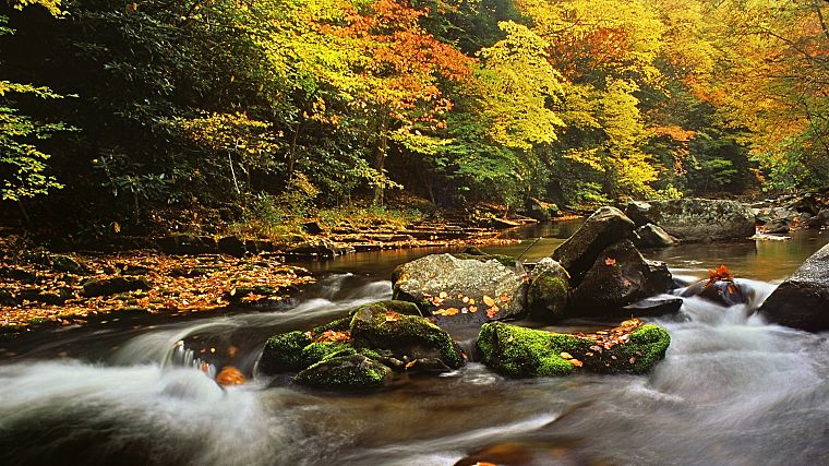 autumn, leaves, rocks, flow, rivers, North Carolina - desktop wallpaper
