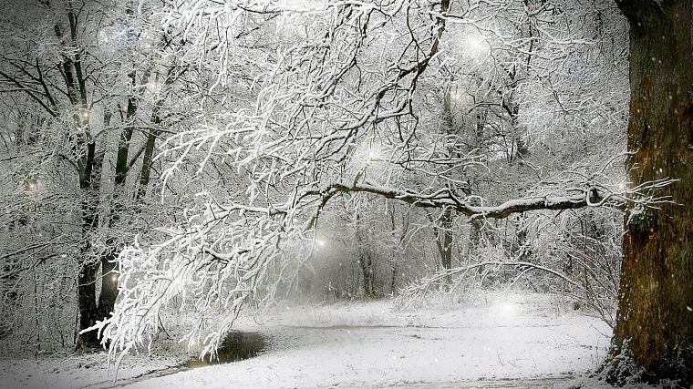 winter, trees, TV shows - desktop wallpaper