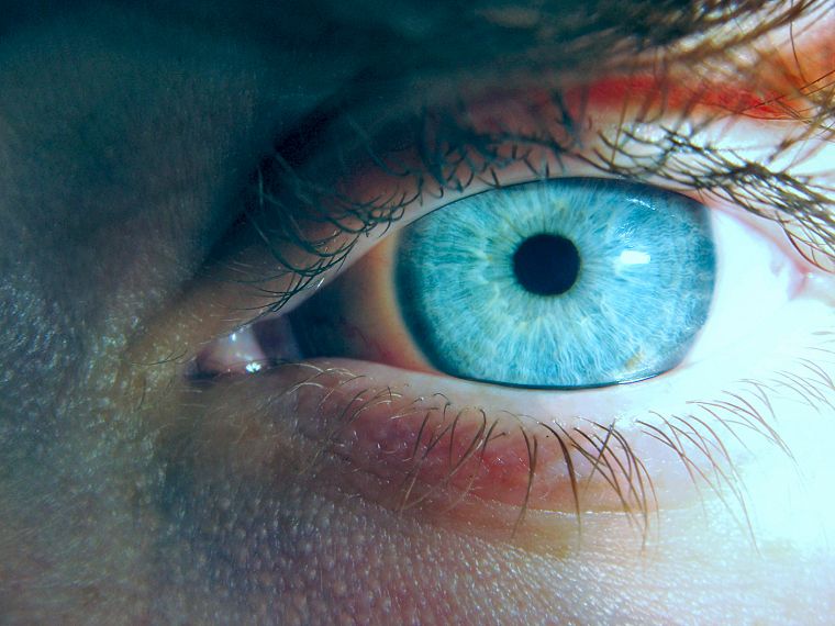 close-up, eyes, blue eyes - desktop wallpaper