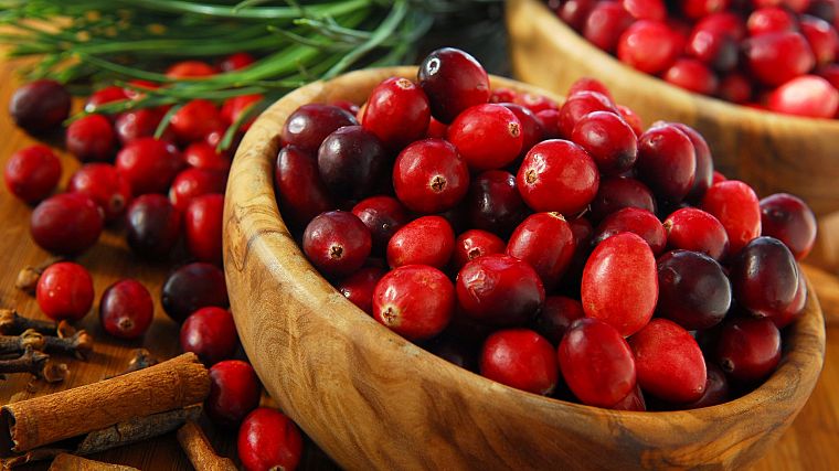 red, berries - desktop wallpaper