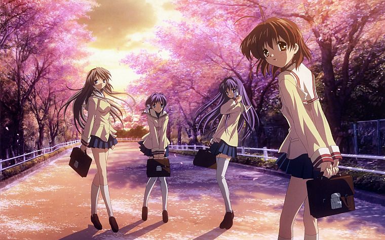 cherry blossoms, Clannad, Sakagami Tomoyo, Furukawa Nagisa, Fujibayashi Kyou, Fujibayashi Ryou - desktop wallpaper