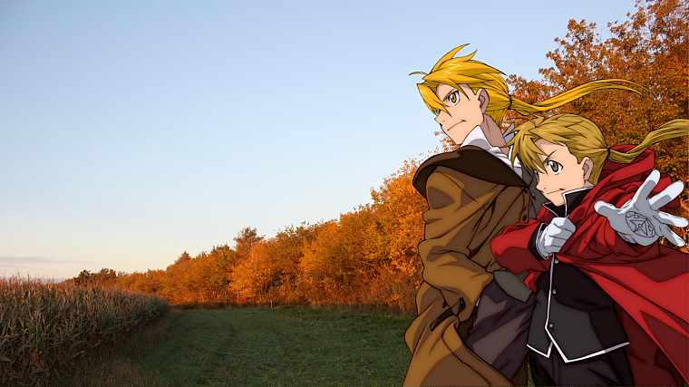 Fullmetal Alchemist, blondes, trees, fields, Elric Alphonse, Elric Edward, sunlight, backgrounds - desktop wallpaper