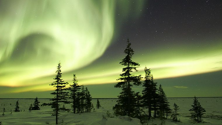 winter, aurora borealis, Canada - desktop wallpaper