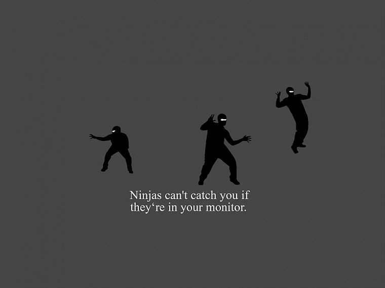 ninjas, ninjas cant catch you if - desktop wallpaper