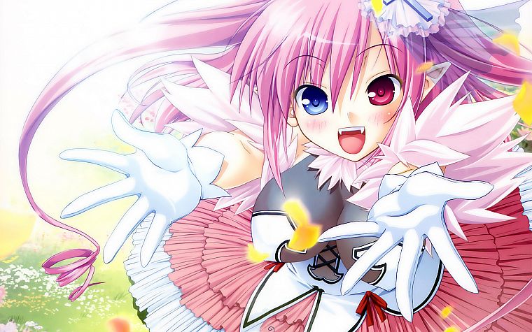 dress, heterochromia, pink hair, anime, anime girls - desktop wallpaper