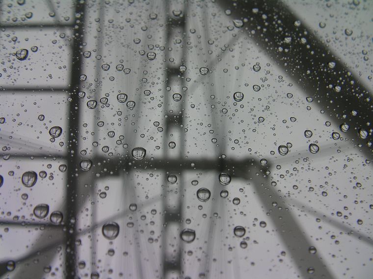 close-up, black and white, water drops - desktop wallpaper