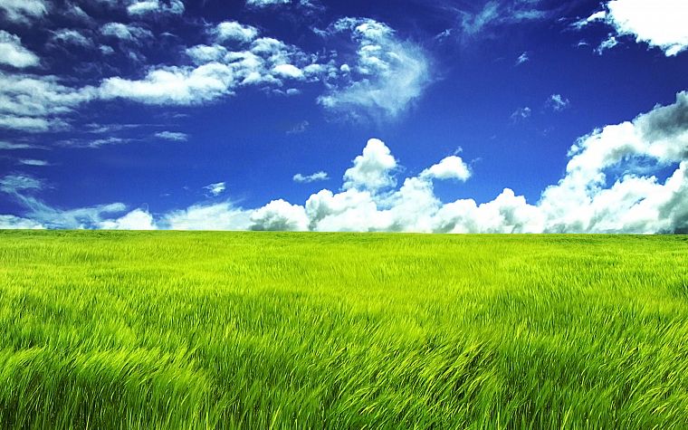 horizon, fields - desktop wallpaper