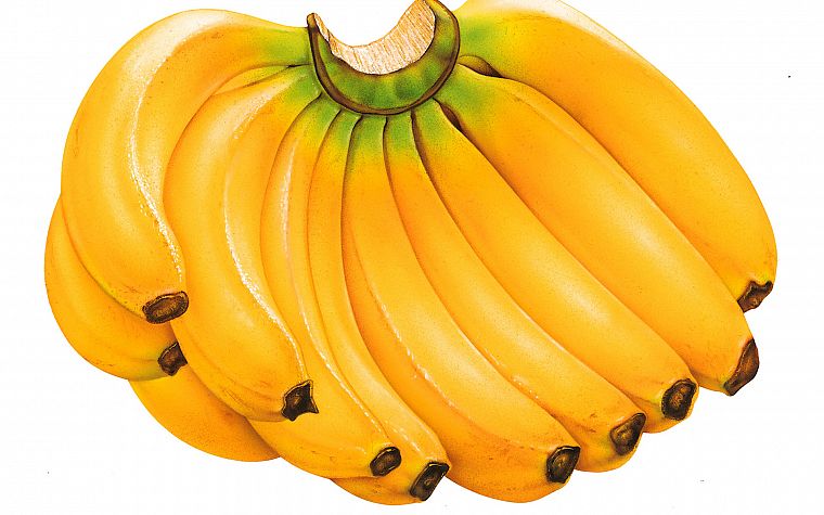 fruits, food, bananas, white background - desktop wallpaper