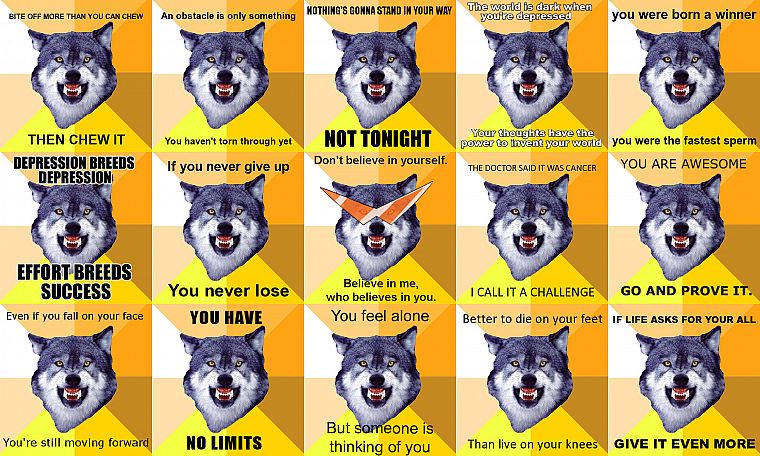 meme, Courage Wolf - desktop wallpaper