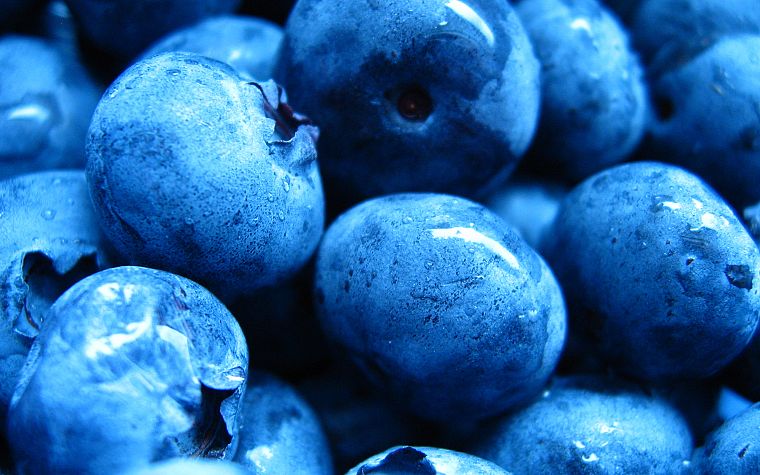 fruits, macro, blueberries - desktop wallpaper