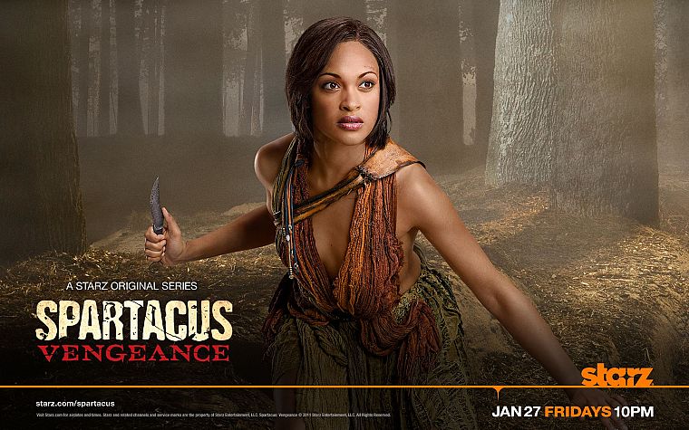 Spartacus Vengeance, Cynthia Addai-Robinson - desktop wallpaper