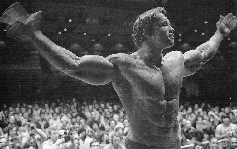 Arnold Schwarzenegger - desktop wallpaper