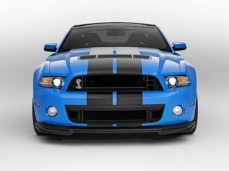 cars, studio, front, Ford Shelby, Ford Mustang Shelby GT500 - desktop wallpaper