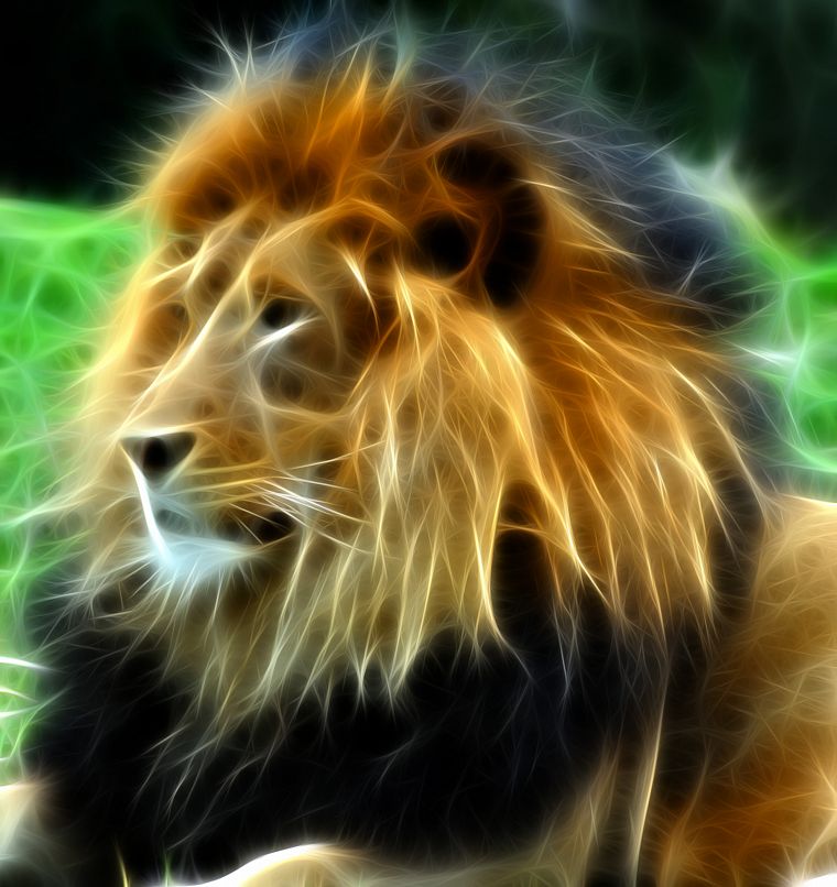Fractalius, lions - desktop wallpaper