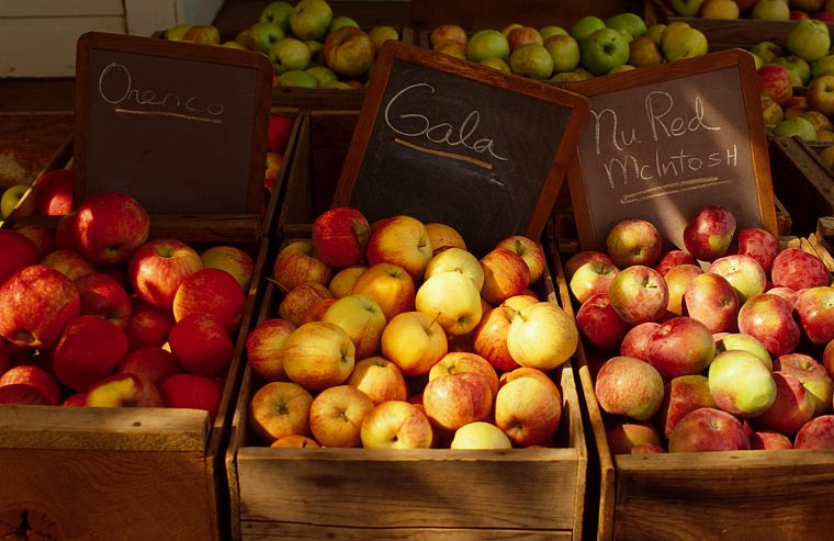 fruits, apples - desktop wallpaper