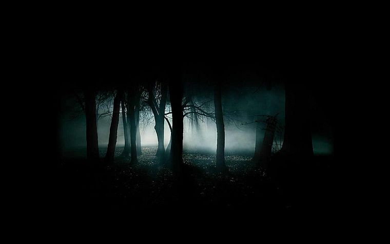landscapes, dark, forests - desktop wallpaper