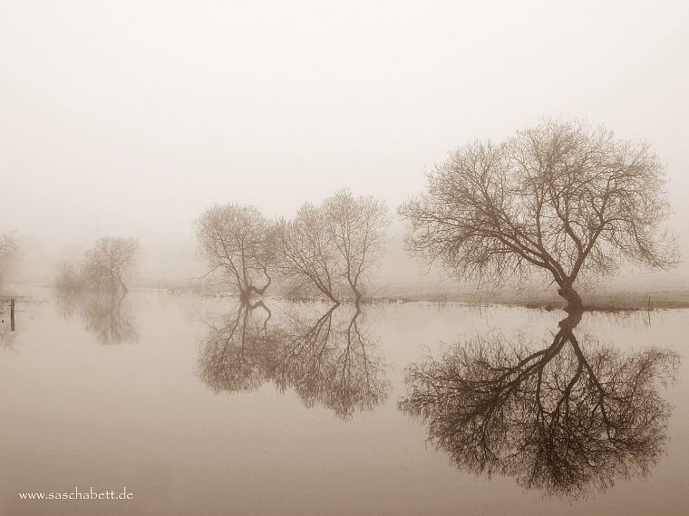 water, fog, reflections - desktop wallpaper