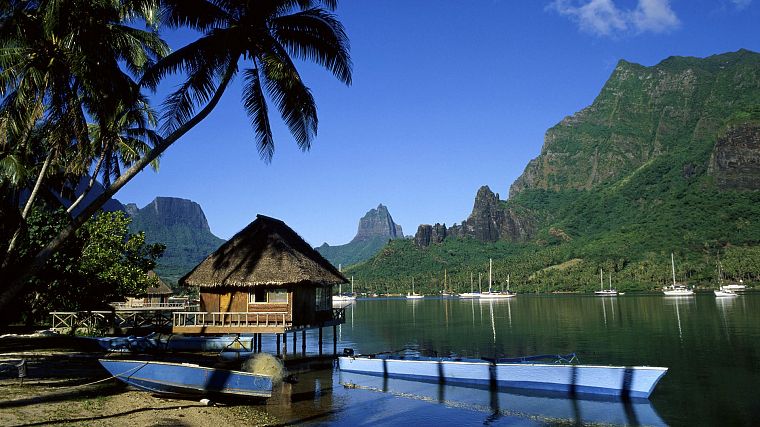 cliffs, boats, French Polynesia, palm trees, Tahiti, huts, Moorea, bay, cooks - desktop wallpaper