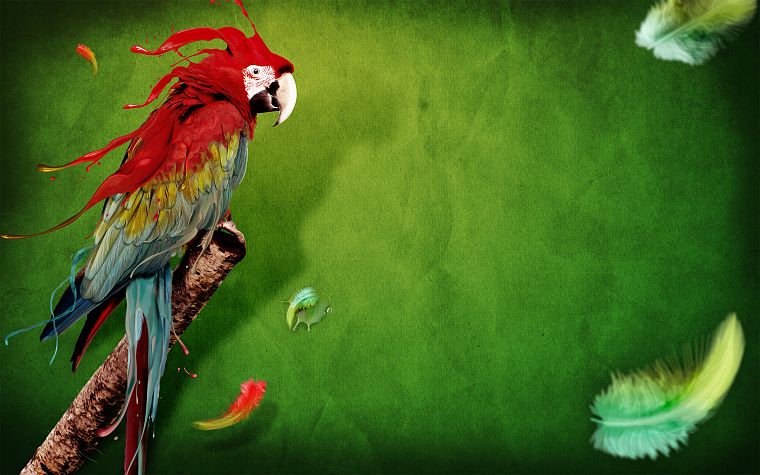 birds, liquid, parrots, feathers, green background - desktop wallpaper