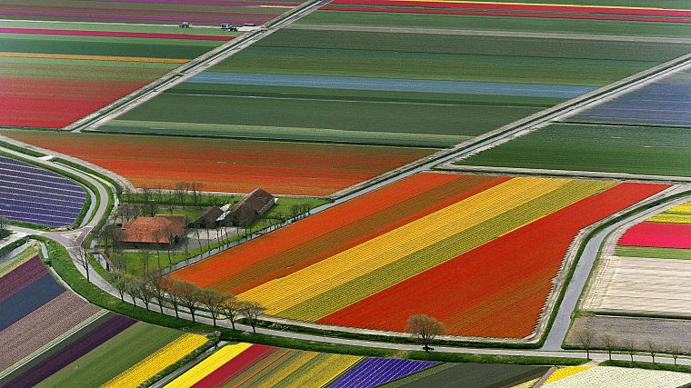 multicolor, fields, roads - desktop wallpaper