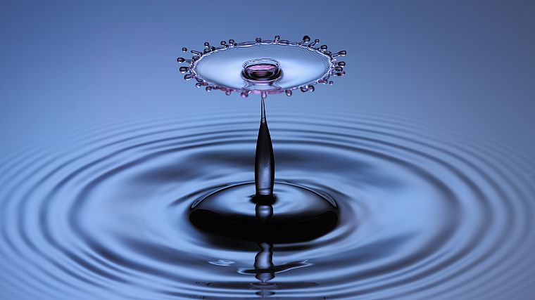 water, drop, water drops, macro - desktop wallpaper