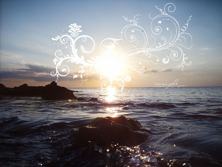 sunrise, shore, sunlight, floral - desktop wallpaper