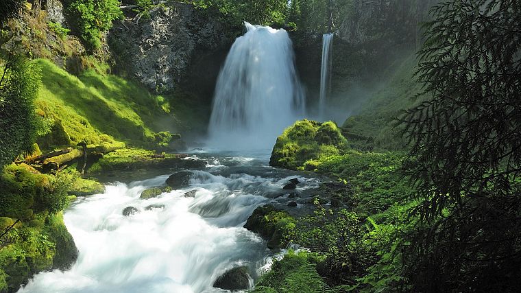 nature, forests, national, Oregon, waterfalls, rivers - desktop wallpaper
