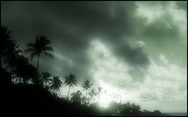 clouds, tropical, palm trees - desktop wallpaper