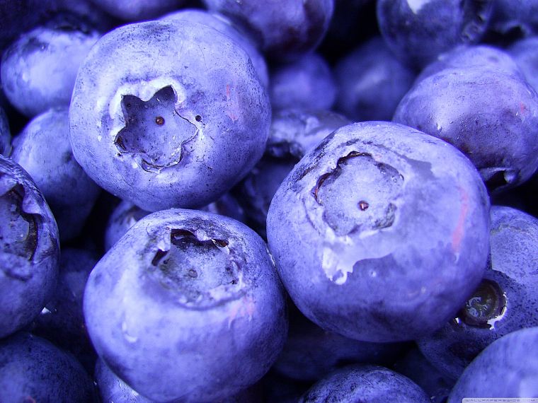 blueberry - desktop wallpaper