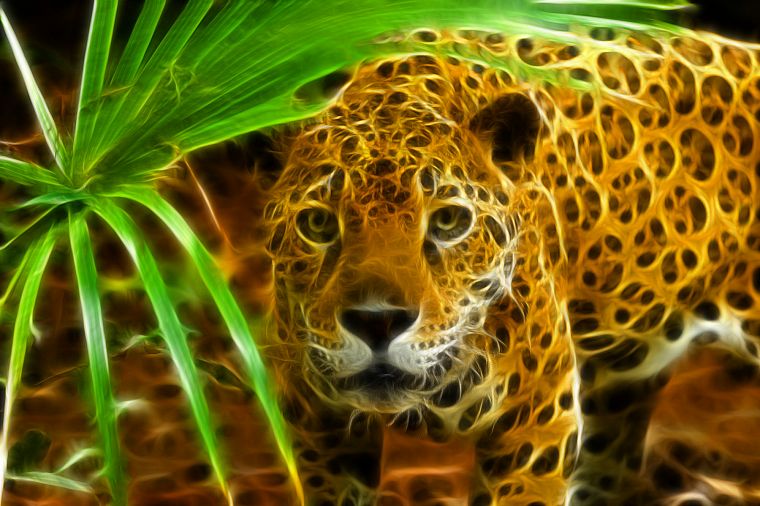 animals, Fractalius, jaguars - desktop wallpaper
