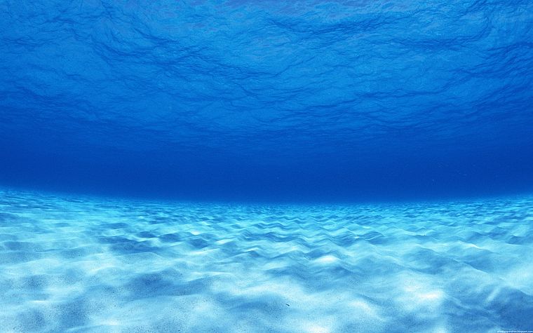underwater - desktop wallpaper