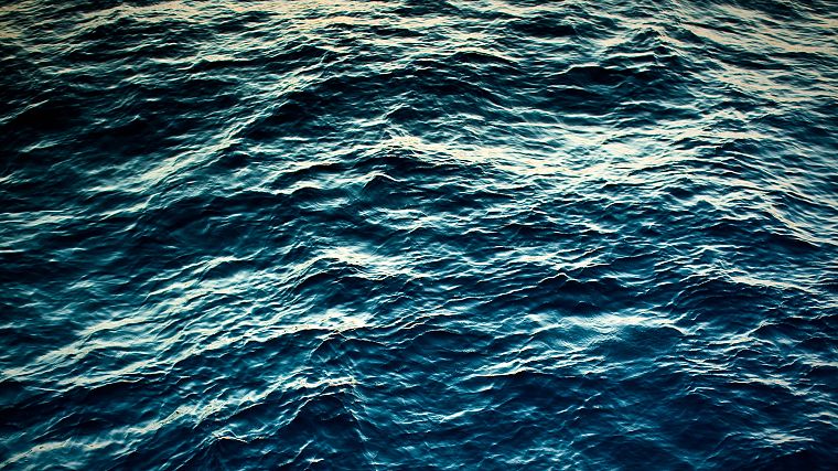 water, ocean, blue morpho, sea - desktop wallpaper
