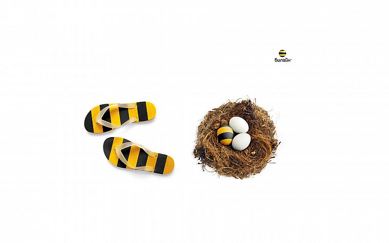 eggs, bees - desktop wallpaper