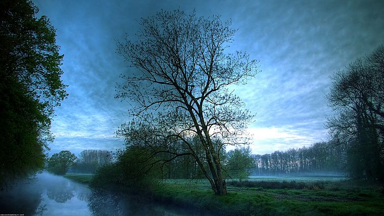 landscapes, nature, trees, mist, rivers, reflections, evening - desktop wallpaper