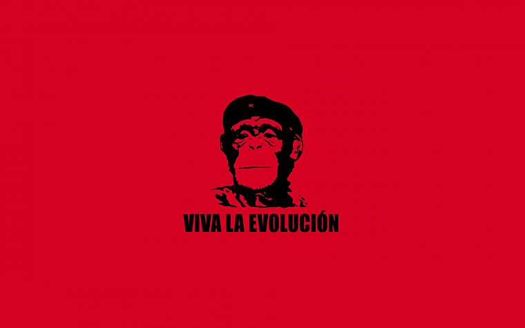 Che Guevara, monkeys, simple background - desktop wallpaper