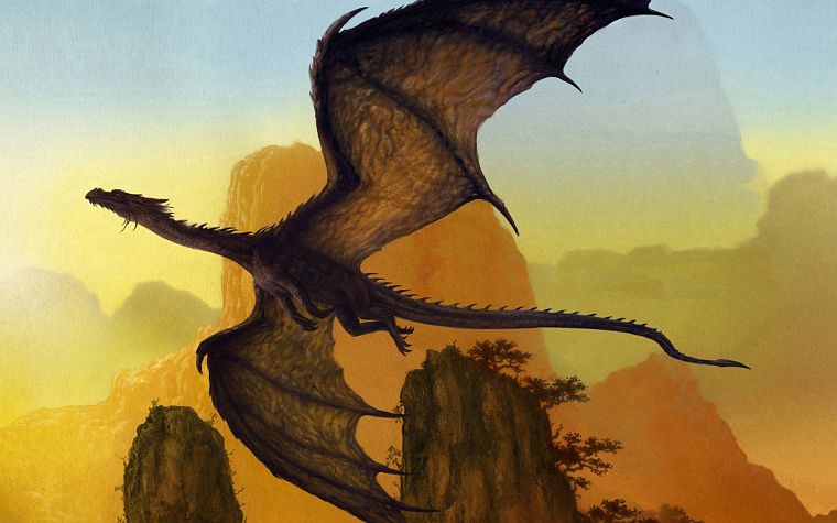 dragons - desktop wallpaper