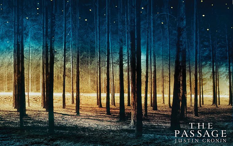 trees, TagNotAllowedTooSubjective, passage - desktop wallpaper