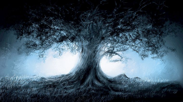 trees, magic - desktop wallpaper